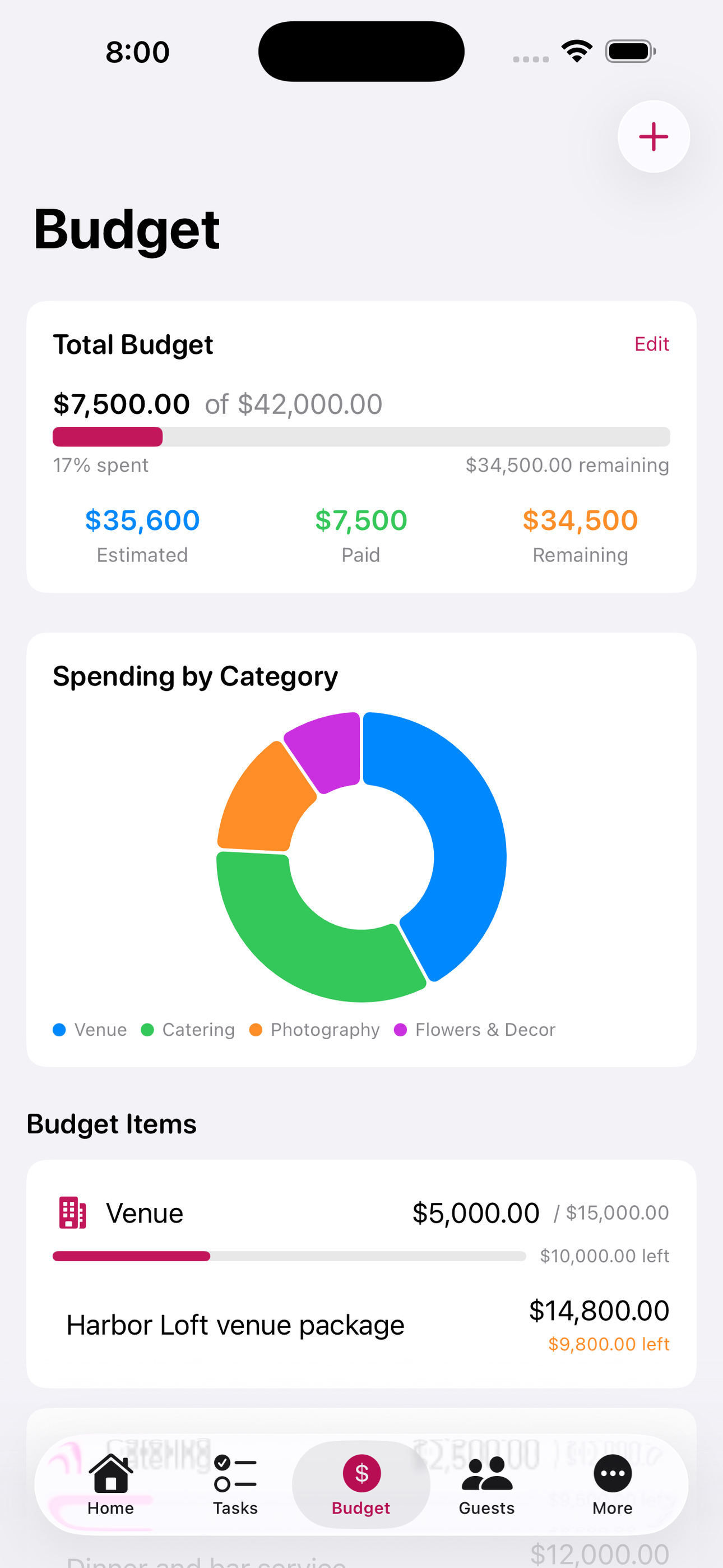Budget screen with estimates, actuals, payments, and a summary of spending by category.